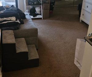 House Cleaning in San Rafael SF, Office Cleaning in Dublin SF, Carpet Cleaning in Castro valle (14)