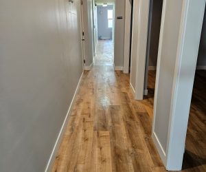 House Cleaning in San Rafael SF, Office Cleaning in Dublin SF, Carpet Cleaning in Castro valle (18)