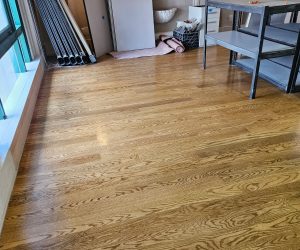 House Cleaning in San Rafael SF, Office Cleaning in Dublin SF, Carpet Cleaning in Castro valle (23)
