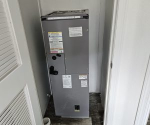 House Cleaning in San Rafael SF, Office Cleaning in Dublin SF, Carpet Cleaning in Castro valle (46)