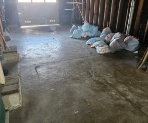 House Cleaning in San Rafael SF, Office Cleaning in Dublin SF, Carpet Cleaning in Castro valle (66)