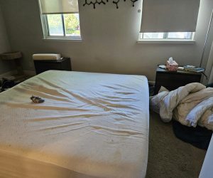 House Cleaning in San Rafael SF, Office Cleaning in Dublin SF, Carpet Cleaning in Castro valle (67)