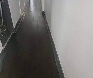 House Cleaning in San Rafael SF, Office Cleaning in Dublin SF, Carpet Cleaning in Castro valle (7)