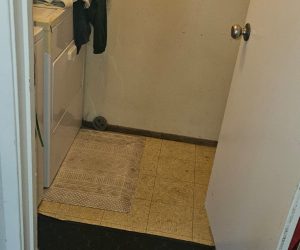 House Cleaning in San Rafael SF, Office Cleaning in Dublin SF, Carpet Cleaning in Castro valle (8)